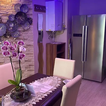Timi Wellness Apartment *